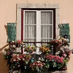 Homestay Arroios De Paixao *