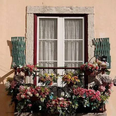 Homestay Arroios De Paixao *